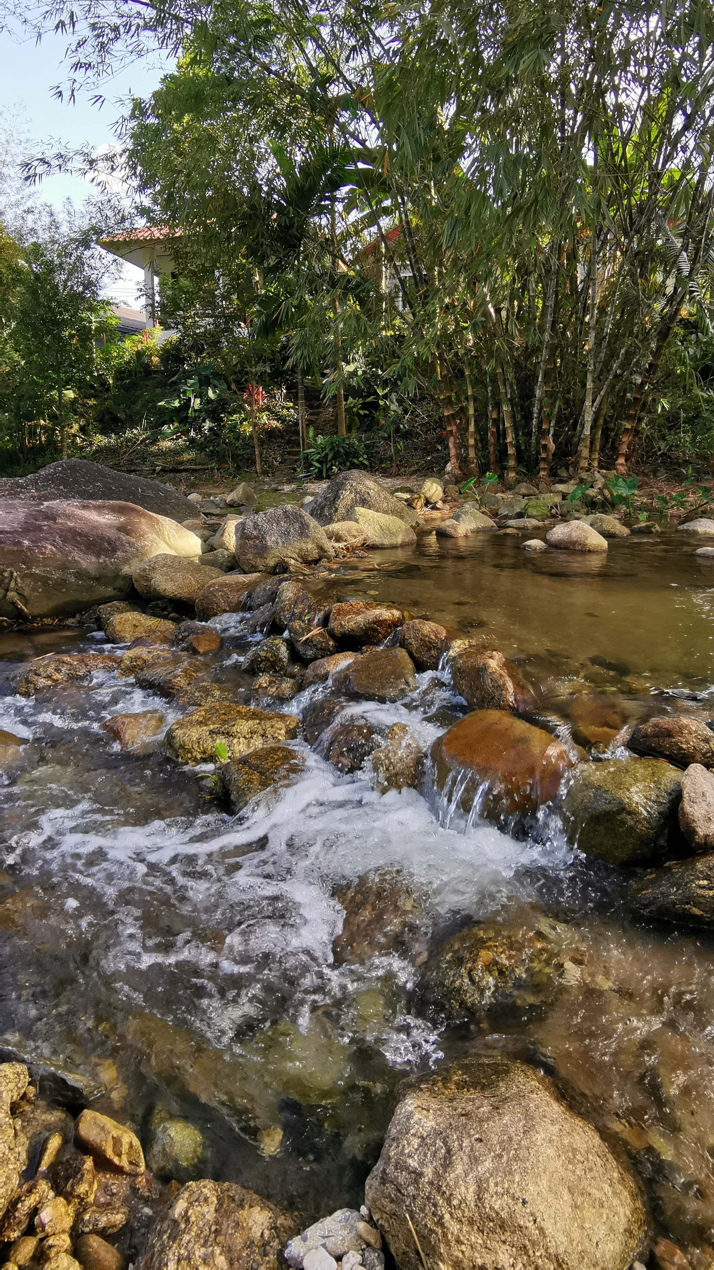 View of the 25ft gorge and creek bank from the guest rooms at Chaba Riverside Home Khiri Wong.