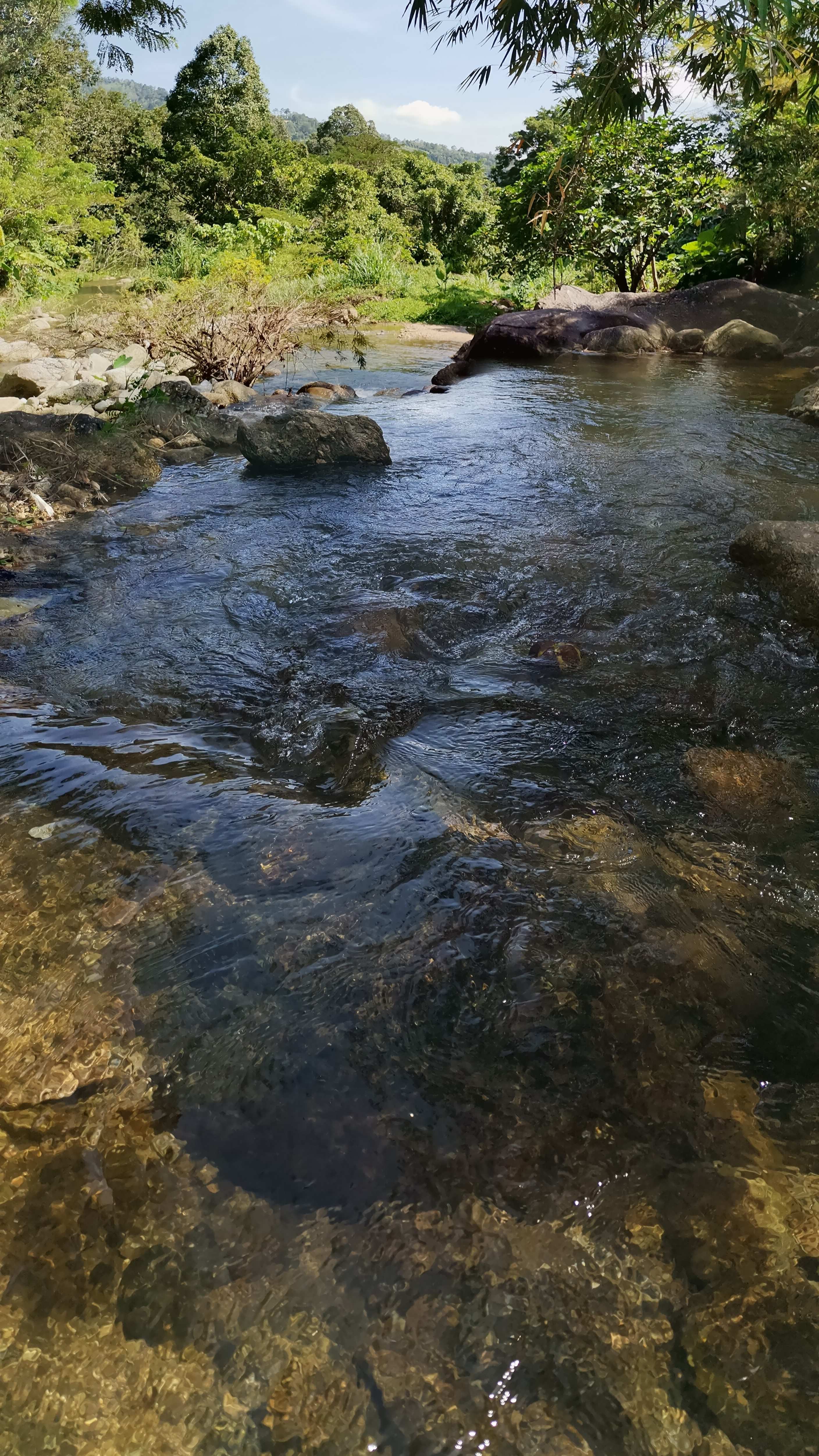 Shaded serenity and quiet upstream river views at the tail end of Ta-Chai road, Baan Khiri Wong.